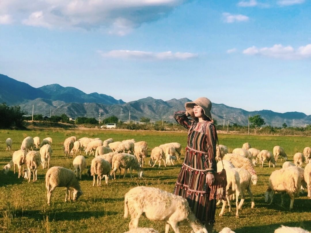 TOUR HÀ NỘI - NHA TRANG - NINH THUẬN 4 NGÀY 3 ĐÊM KHỞI HÀNH TỪ HÀ NỘI TRỌN GÓI GIÁ RẺ 