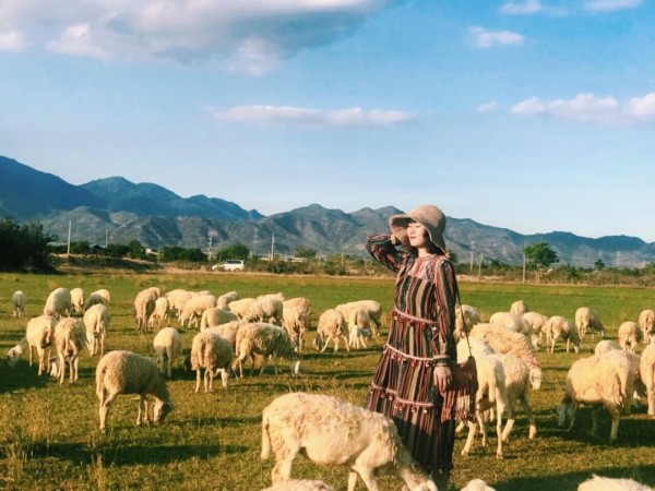 TOUR HÀ NỘI - NHA TRANG - NINH THUẬN 4 NGÀY 3 ĐÊM KHỞI HÀNH TỪ HÀ NỘI TRỌN GÓI GIÁ RẺ 