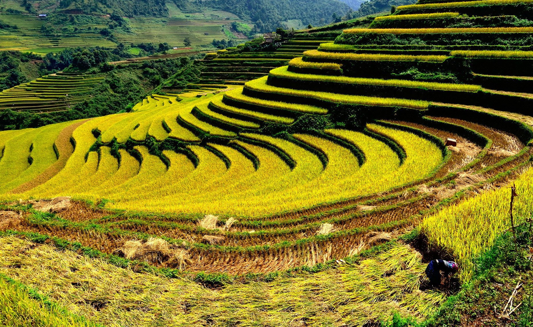 COMBO 3N2Đ CHAPA ECOLODGE SAPA 4 SAO