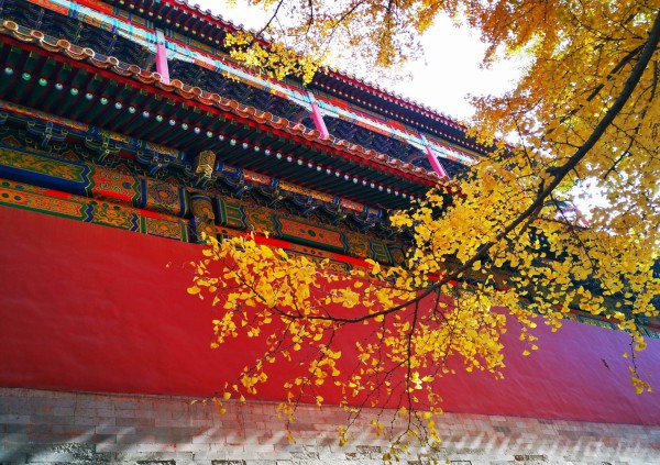 TOUR DU LỊCH BẮC KINH TRUNG QUỐC ĐƠN THUẦN (MONO) (GIẢM GIÁ DỊP LỄ 30.4-1.5 VÀ QUỐC KHÁNH 2.9) 5 NGÀY 4 ĐÊM HÀ NỘI BẮC KINH - TỬ CẤM THÀNH – THIÊN AN MÔN – VẠN LÝ TRƯỜNG THÀNH - DI HÒA VIÊN 