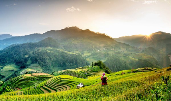 DU LỊCH VÙNG CAO TÂY BẮC TOUR ĐẶC SẮC HÀ NỘI – NGHĨA LỘ - TRẠM TẤU – TÚ LỆ  MÙ CANG CHẢI 3 NGÀY 2 ĐÊM TRỌN GÓI GIÁ RẺ KHÁM PHÁ MÙA NƯỚC ĐỔ TỚI MÙA LÚA CHÍN HAY MÙA HOA RỪNG BẠT NGÀN 