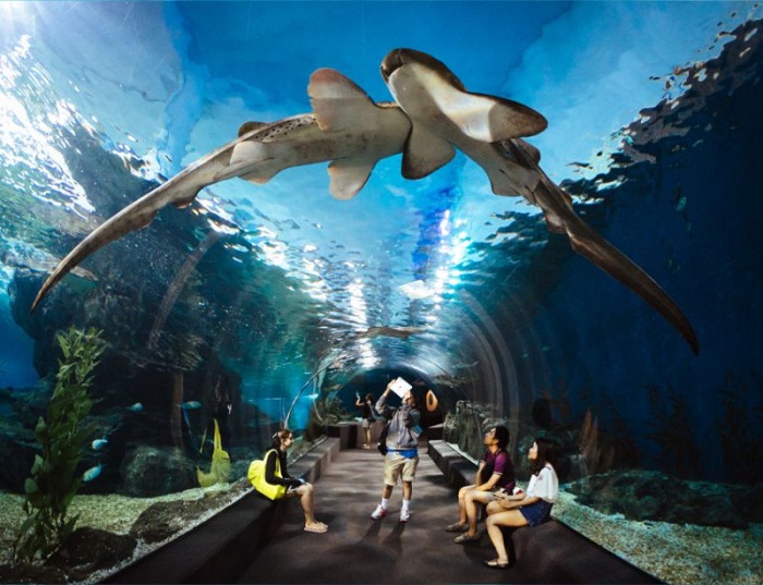 HÀ NỘI - NHA TRANG - MŨI NÉ BÌNH THUẬN