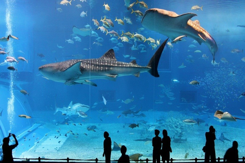 HÀ NỘI - NHA TRANG - MŨI NÉ BÌNH THUẬN