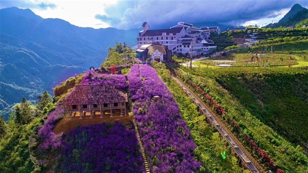 COMBO 3N2Đ CHAPA ECOLODGE SAPA 4 SAO